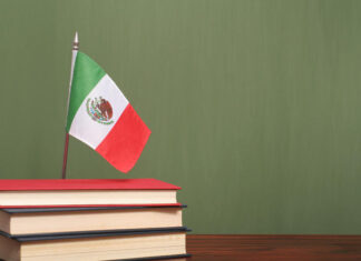 Deficiencias académicas en nivel básico en México