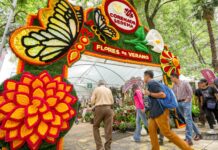 Festival de las Flores de Verano 2024