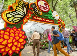 Festival de las Flores de Verano 2024