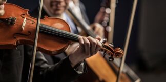 Filarmónica de las Artes: Palenque Sinfónico Filarmónica de las Artes Palenque Sinfónico