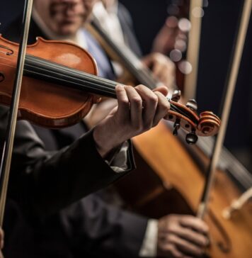 Filarmónica de las Artes: Palenque Sinfónico Filarmónica de las Artes Palenque Sinfónico