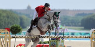 México no participo en la final de ecuestre México no participo en la final de ecuestre