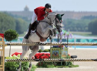 México no participo en la final de ecuestre México no participo en la final de ecuestre