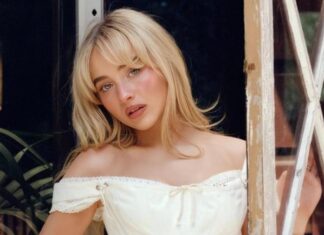 3 técnicas de rubor en otoño 2024 3 técnicas de rubor en otoño 2024