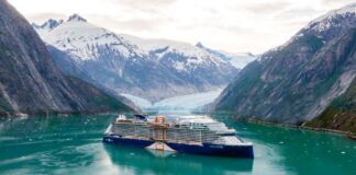 Crucero en Alaska ¡reconecta con la naturaleza!