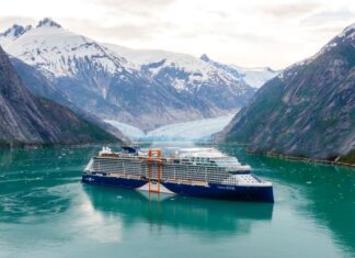 Crucero en Alaska ¡reconecta con la naturaleza!