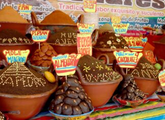 Feria Nacional del Mole 2024 en Ciudad de México Feria Nacional del Mole 2024 en Ciudad de México