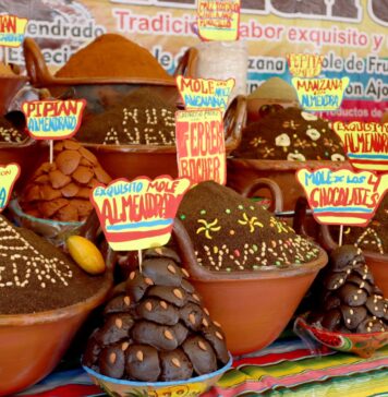 Feria Nacional del Mole 2024 en Ciudad de México Feria Nacional del Mole 2024 en Ciudad de México