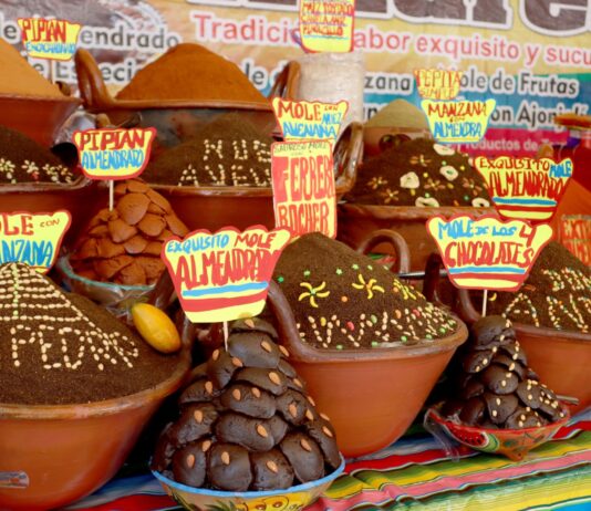 Feria Nacional del Mole 2024 en Ciudad de México Feria Nacional del Mole 2024 en Ciudad de México