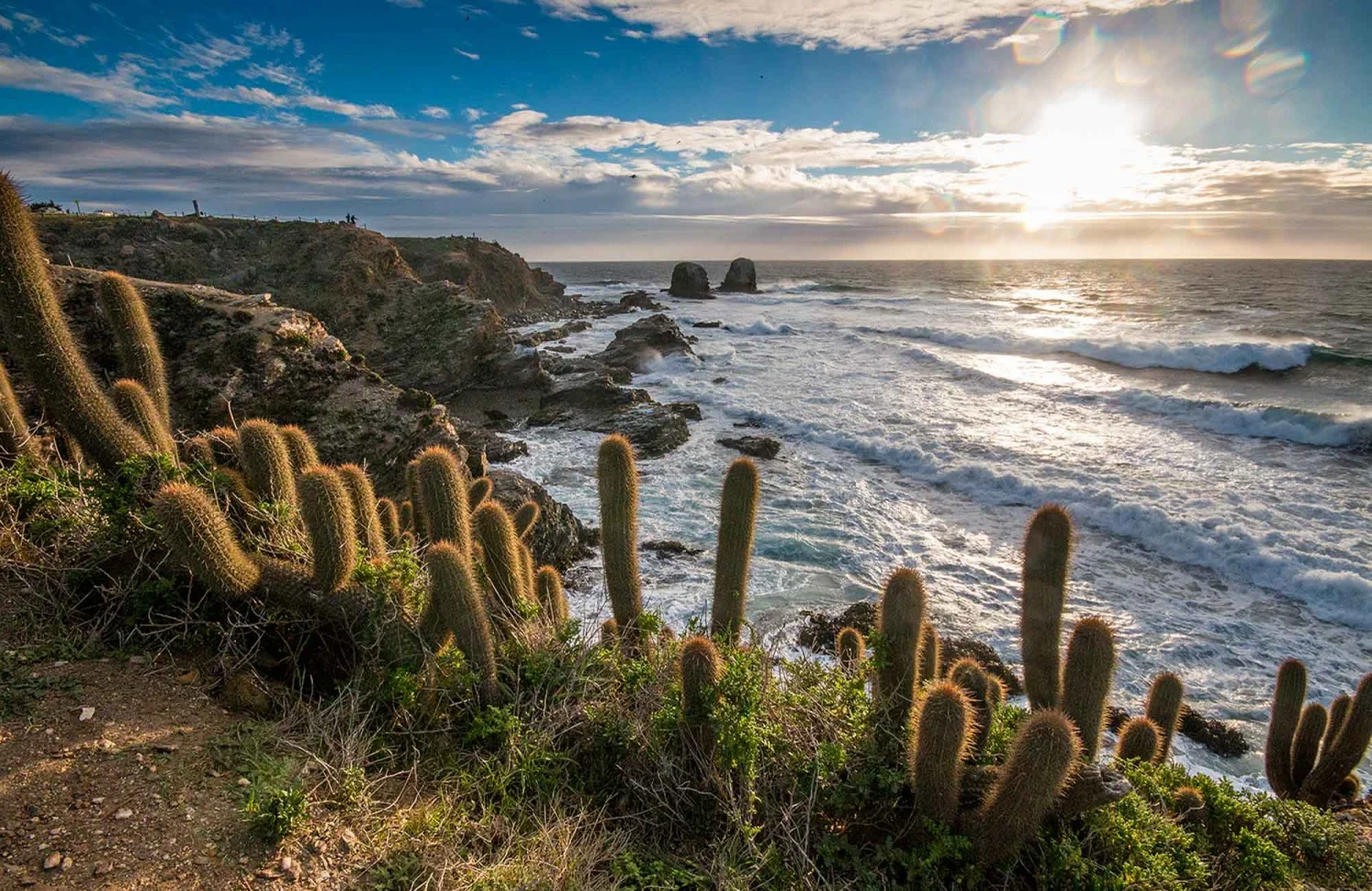 Guía definitiva de mejores playas de Latinoamérica 