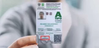 Habrá licencia de conducir GRATIS en septiembre Habrá licencia de conducir GRATIS en septiembre