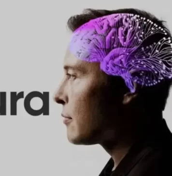Neuralink: chip que podría ser usado en personas ciegas neuralink