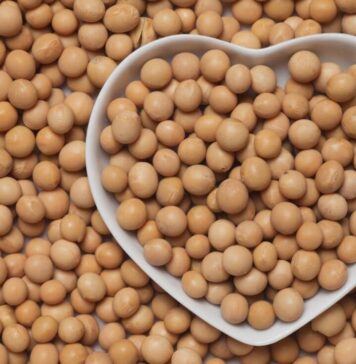 Soya: el superalimento con más proteínas que el pollo soya