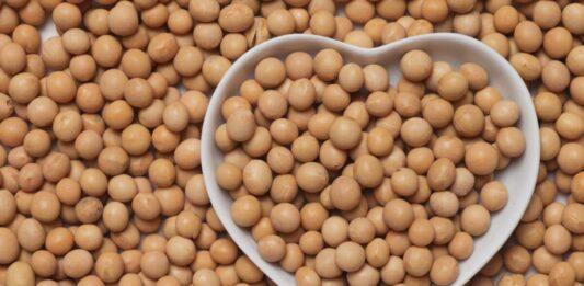 Soya: el superalimento con más proteínas que el pollo soya