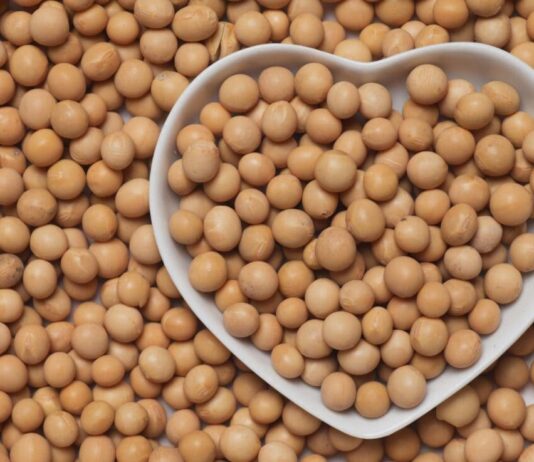 Soya: el superalimento con más proteínas que el pollo soya