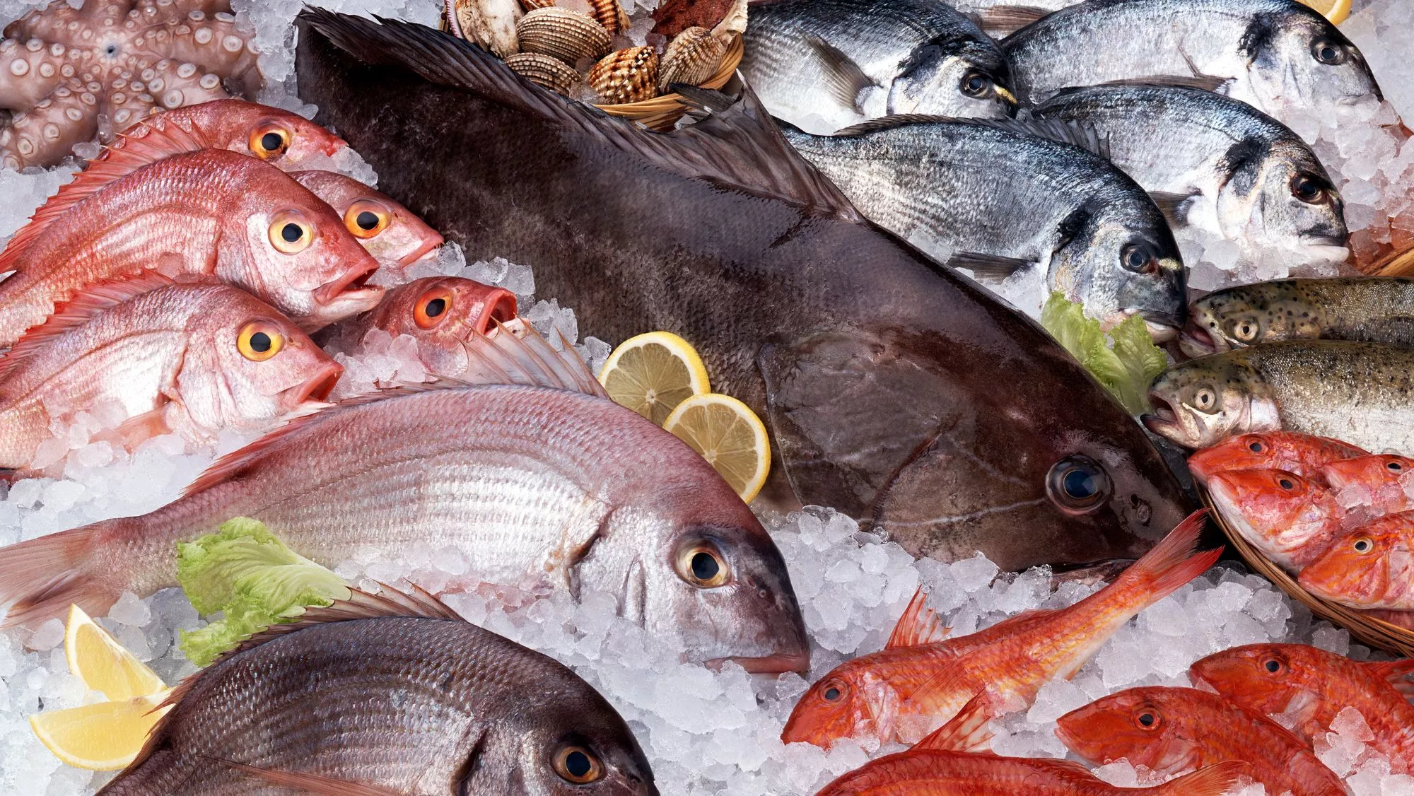 Cuál es el pescado más saludable para comer