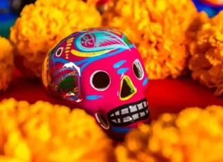 ¿Cuánto costará el Cempasúchil para el Día de Muertos 2024? Cuánto costará el Cempasúchil para el Día de Muertos 2024