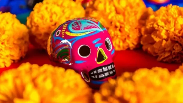 Cuánto costará el Cempasúchil para el Día de Muertos 2024