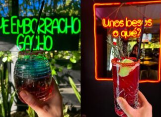 El mejor Rooftop al sur de la CDMX Lab Bar El mejor Rooftop al sur de la CDMX Lab Bar