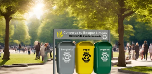El papel del reciclaje en la huella ecológica El papel del reciclaje en la huella ecológica
