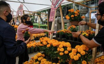 Inicia el Festival de las Flores de Cempasúchil