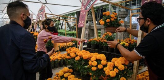 Inicia el Festival de las Flores de Cempasúchil