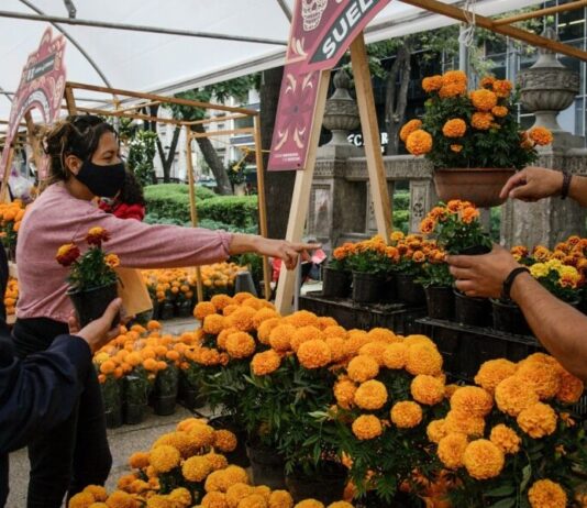 Inicia el Festival de las Flores de Cempasúchil