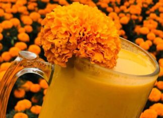 Lugares para probar el pulque de cempasúchil en CDMX Lugares para probar el pulque de cempasúchil en CDMX