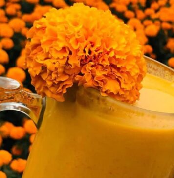 Lugares para probar el pulque de cempasúchil en CDMX Lugares para probar el pulque de cempasúchil en CDMX