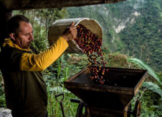 Las mejores marcas de café mexicano para comprar mejores marcas de cafe mexicano para comprar 1