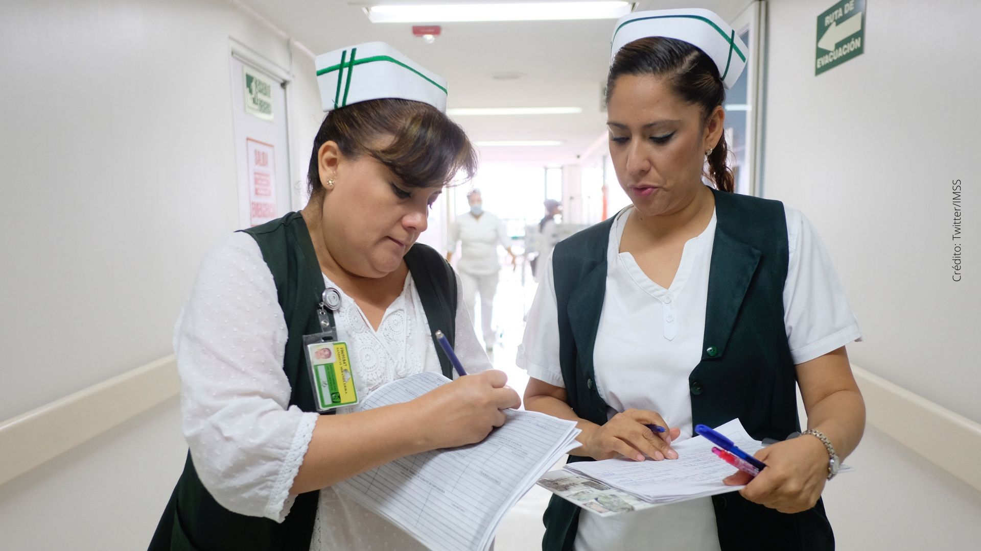 Cuánto cobra el IMSS por afiliarte