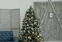 Dónde comprar árboles de Navidad en CDMX Dónde comprar árboles de Navidad en CDMX