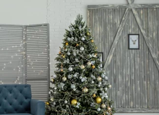 Dónde comprar árboles de Navidad en CDMX Dónde comprar árboles de Navidad en CDMX