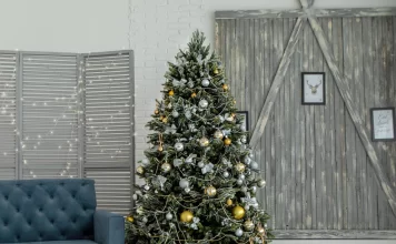 Dónde comprar árboles de Navidad en CDMX Dónde comprar árboles de Navidad en CDMX