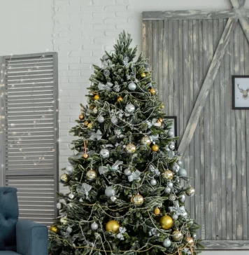 Dónde comprar árboles de Navidad en CDMX Dónde comprar árboles de Navidad en CDMX