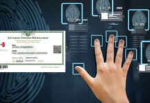 CURP biométrica: estos son los trámites donde podría ser requerida y cómo obtenerla en 2026 El CURP biométrica será obligatoria en el 2025