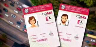 ¿Licencia permanente solo para automovilistas? Licencia permanente solo para automovilistas