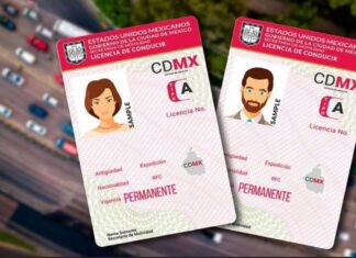 ¿Licencia permanente solo para automovilistas? Licencia permanente solo para automovilistas