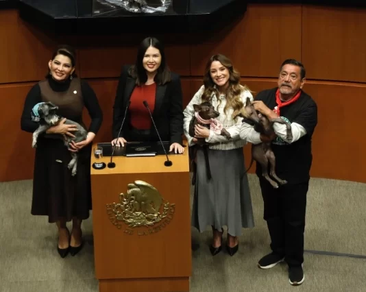 Senado aprueba reforma que prohíbe el maltrato animal Senado aprueba reforma que prohíbe el maltrato animal