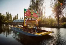 Tour navideño en Xochimilco Tour navideño en Xochimilco