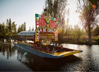 Tour navideño en Xochimilco Tour navideño en Xochimilco