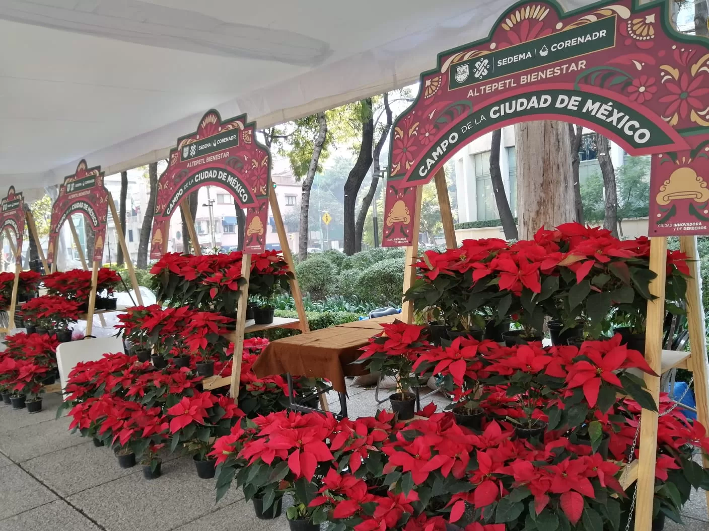 actividades de dociembre navideño en cdmx 1