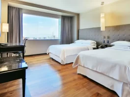 Los mejores hoteles de nivel medio en la Ciudad de México para una estancia confortable y asequible