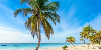 Las mejores playas de México para vacacionar en diciembre: Escápate al paraíso mexicano