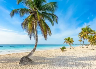 Las mejores playas de México para vacacionar en diciembre: Escápate al paraíso mexicano