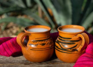 Los Mejores lugares para comprar y consumir pulque en la Ciudad de México