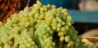 Uva se venderá hasta 200 pesos el kilo en diciembre 2024 Uva se venderá hasta 200 pesos el kilo en diciembre 2024