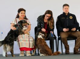 Clara Brugada lanza Plan Integral de Bienestar Animal Clara Brugada lanza Plan Integral de Bienestar Animal