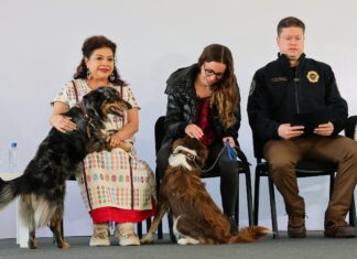 Clara Brugada lanza Plan Integral de Bienestar Animal Clara Brugada lanza Plan Integral de Bienestar Animal