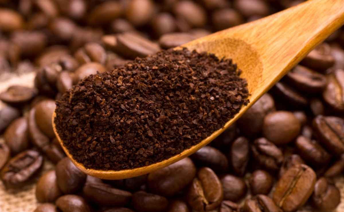 Las mejores marcas de café en grano que puedes comprar en México